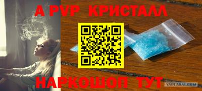 PSILOCYBIN Можайск