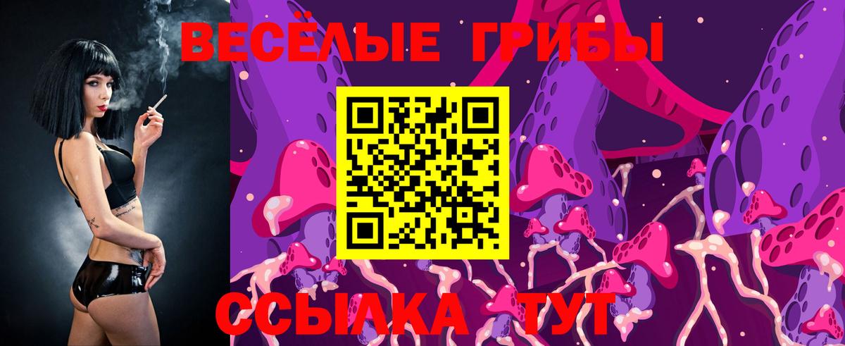 Галлюциногенные грибы GOLDEN TEACHER  Вход с VPN  Волжск 